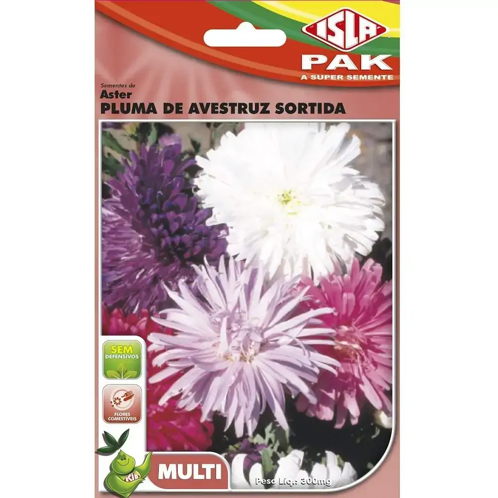Semente Isla Multi Aster Pluma De A
