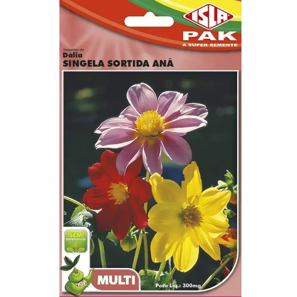 Isla Semente Dalia Singela Sortida Ana