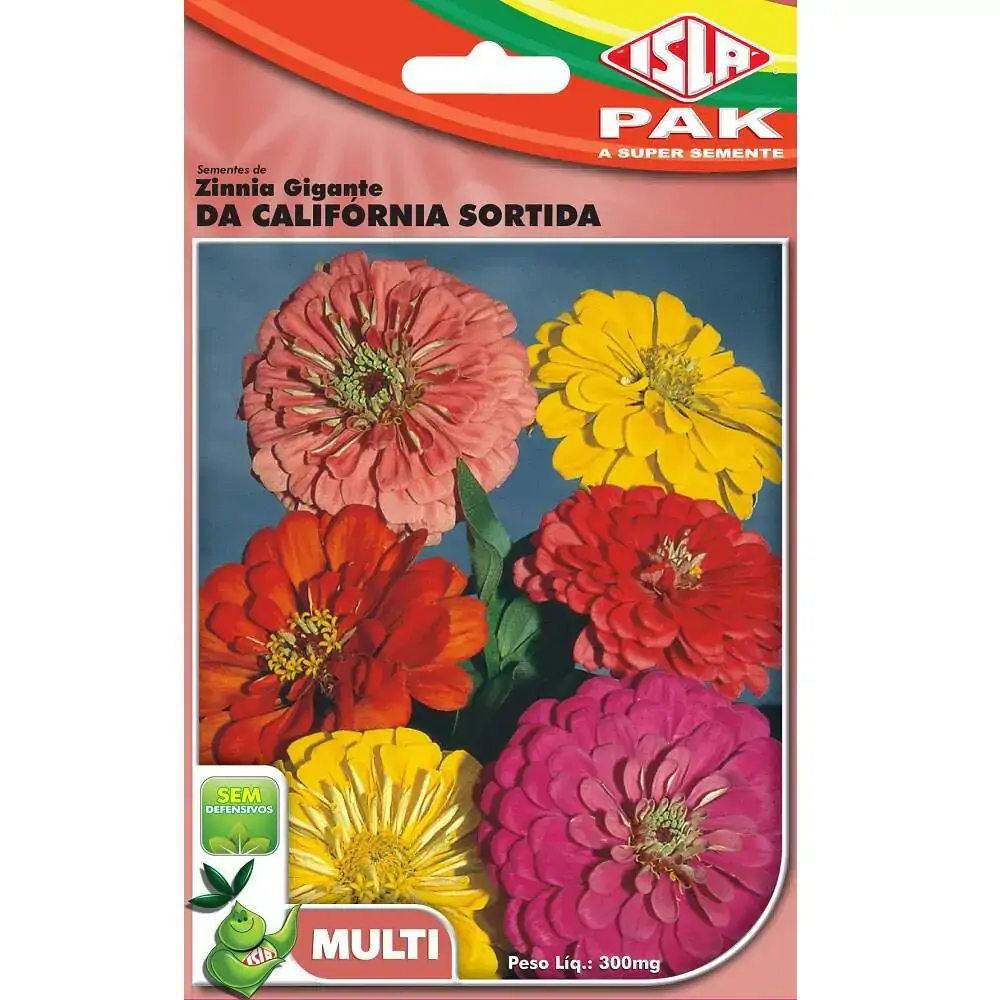 Semente Isla Zinnia Gigante Da California