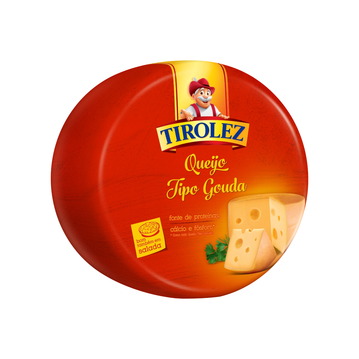 Queijo Gouda Tirolez