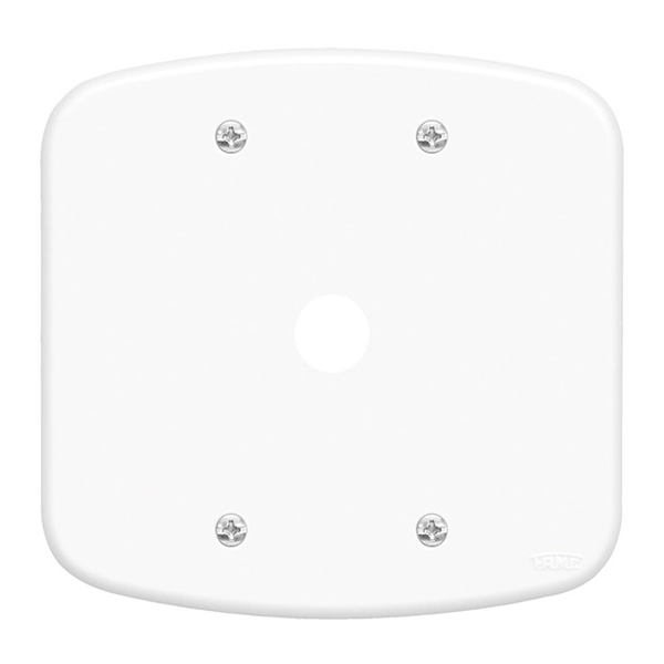 Placa sem Suporte 4x4 1Módulo Branco Blanc Fame