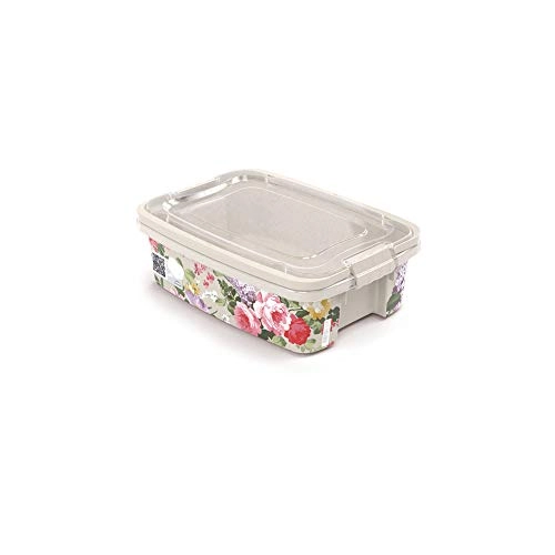 Gran Box Plasutil 850ml Bx Dec 1 C/ Alca E Trava