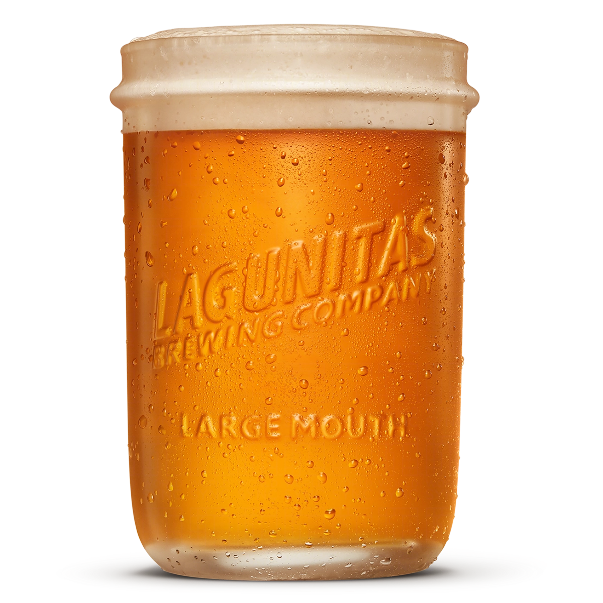 Cerveja Ipa Lagunitas Barril 20l