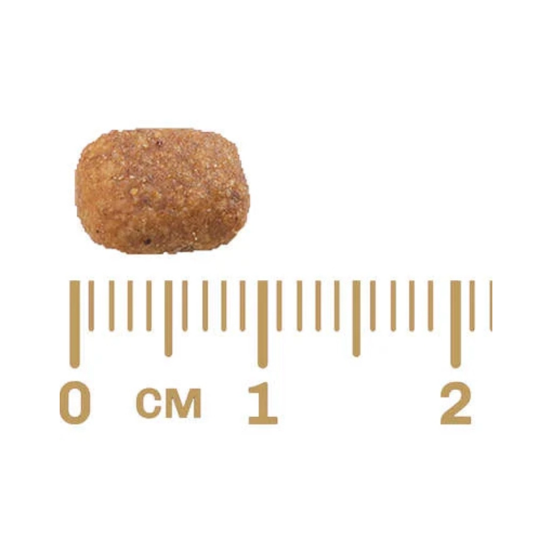 Ração Gran Plus Gatos Adultos Carne e Arroz 10,1kg