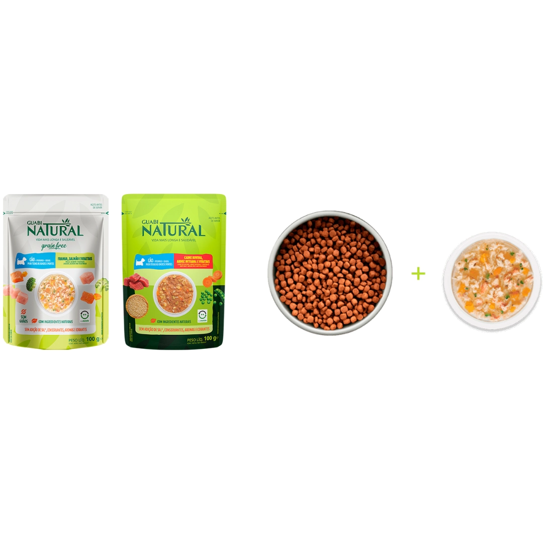 Alimento Úmido Guabi Natural Grain Free Cães Adultos Salmão Frango e Vegetais 100g 100g