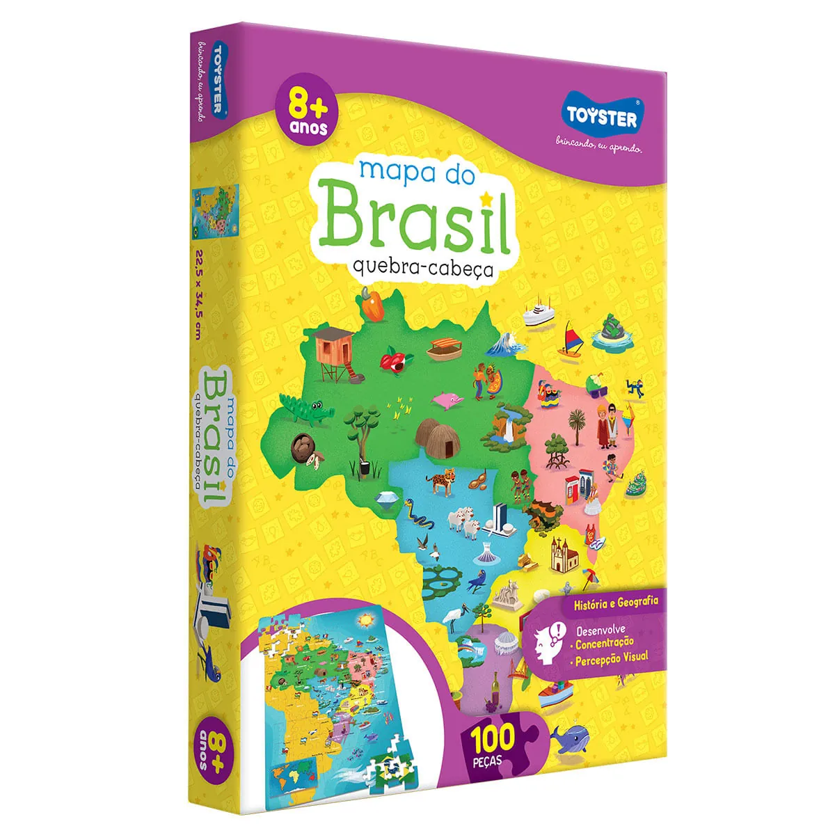 Quebra-Cabeça TOYSTER Mapa Do Brasil Caixa 100 Peças