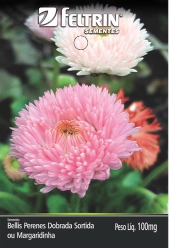 Semente Feltrin Flores Bellis Perenis Dob Sort 100