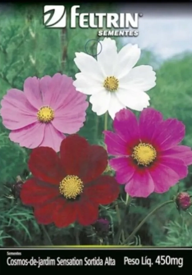Semente Cosmos De Jardim C.sen S. Flor
