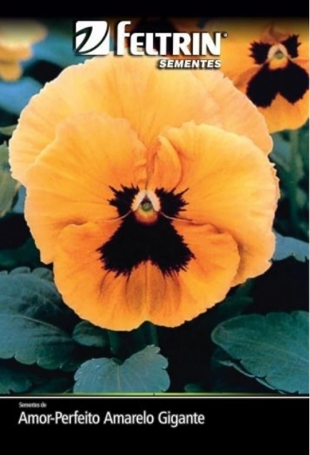 Sementes Feltrin Amor Perfeito Amarelo Gigante Suico C/mascara