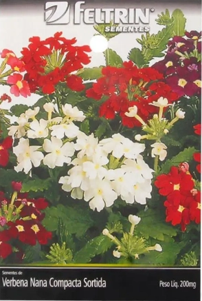 Semente Feltrin Flores Verbena Hibrida Nana Comp S