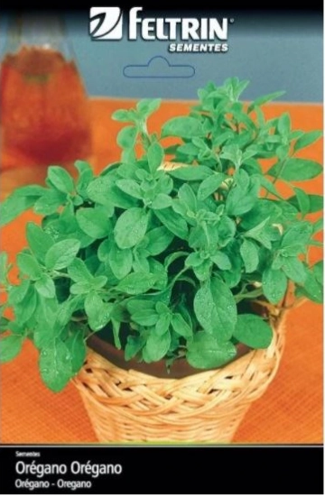 Semente Feltrin Oregano