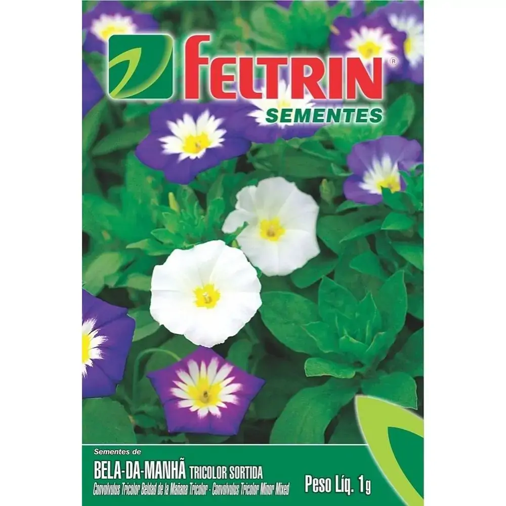 Sementes Feltrin Bela Da Manha Tricolor