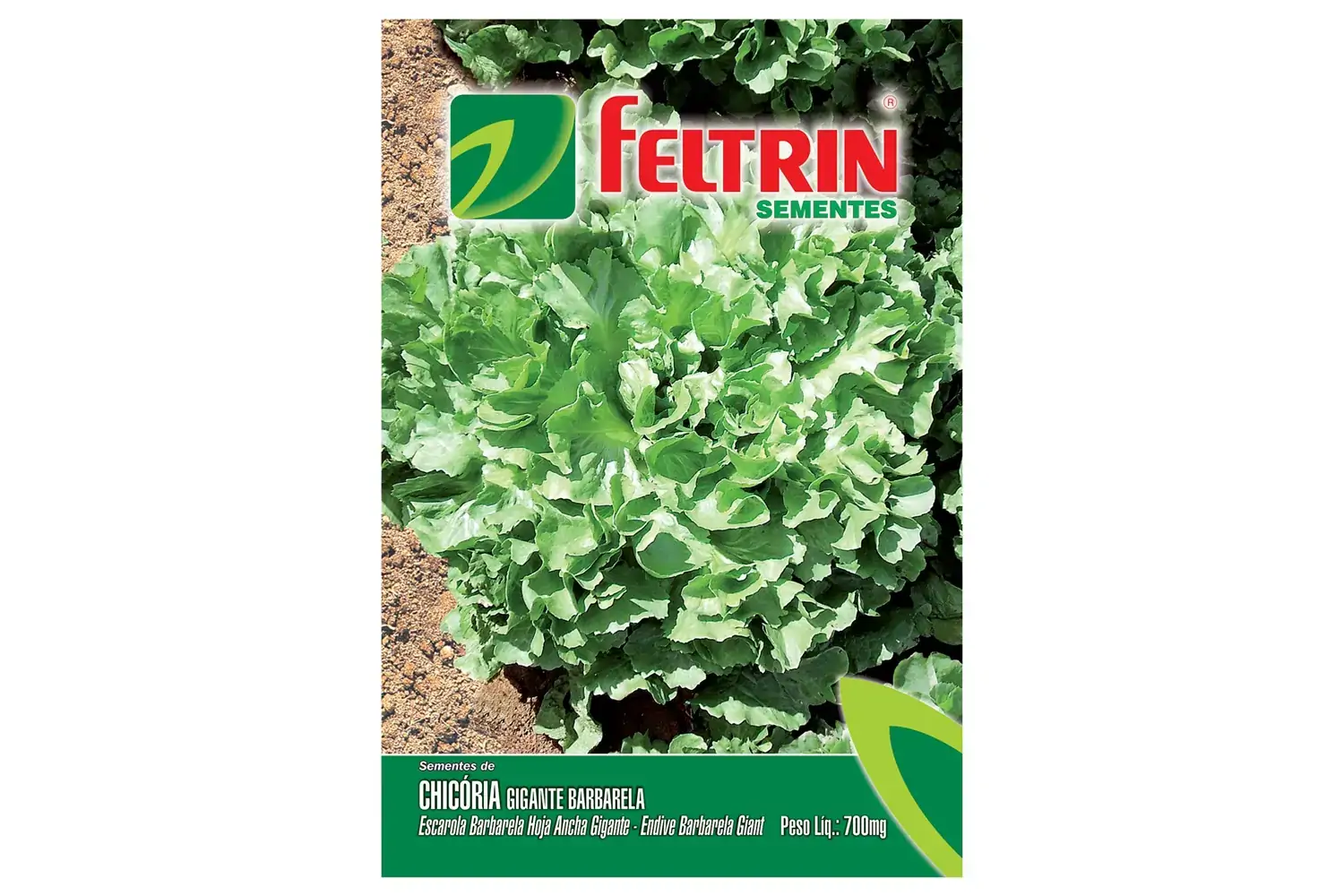 Sementes Feltrin Chicoria