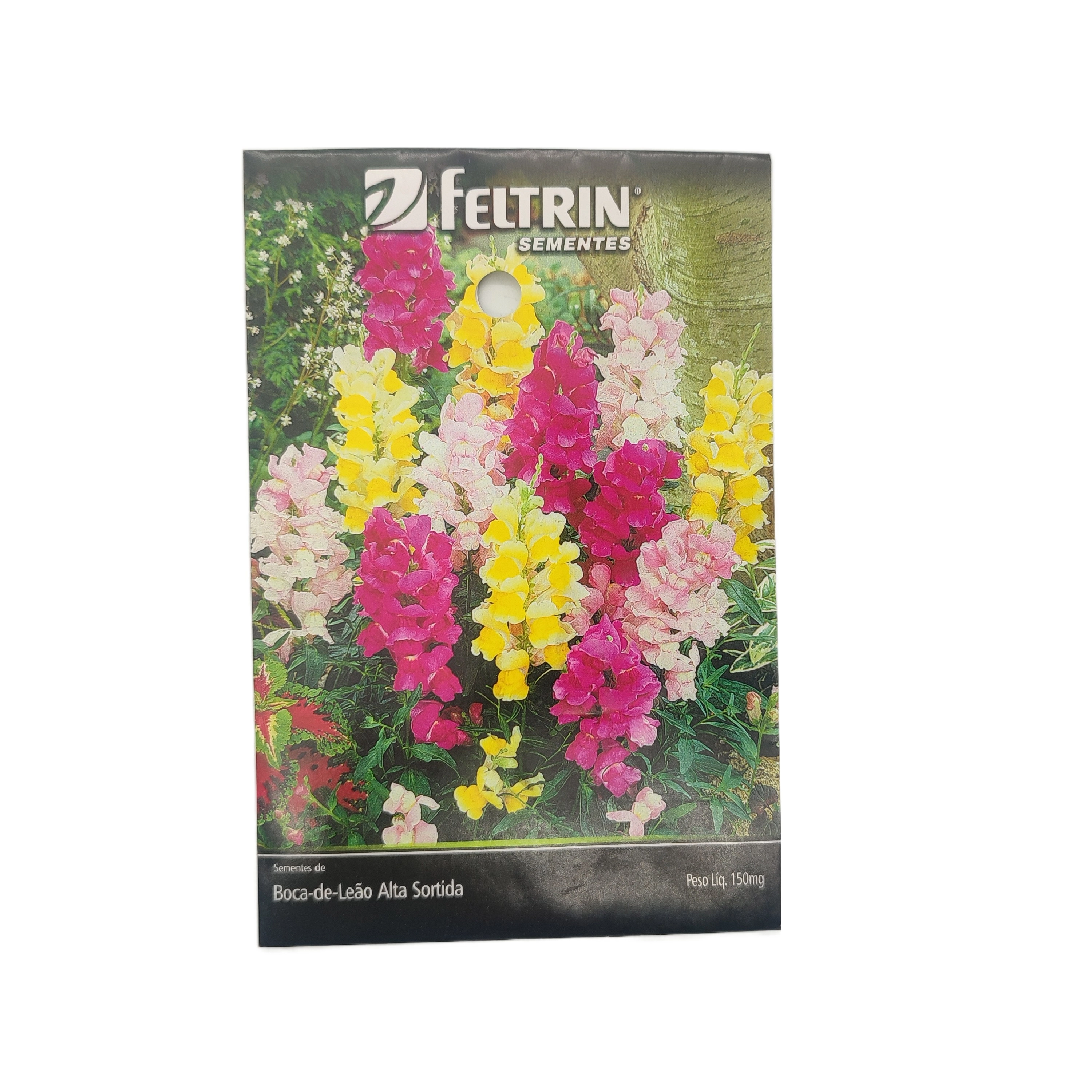 Sem. Flor Feltrin Boca De Leao Sort