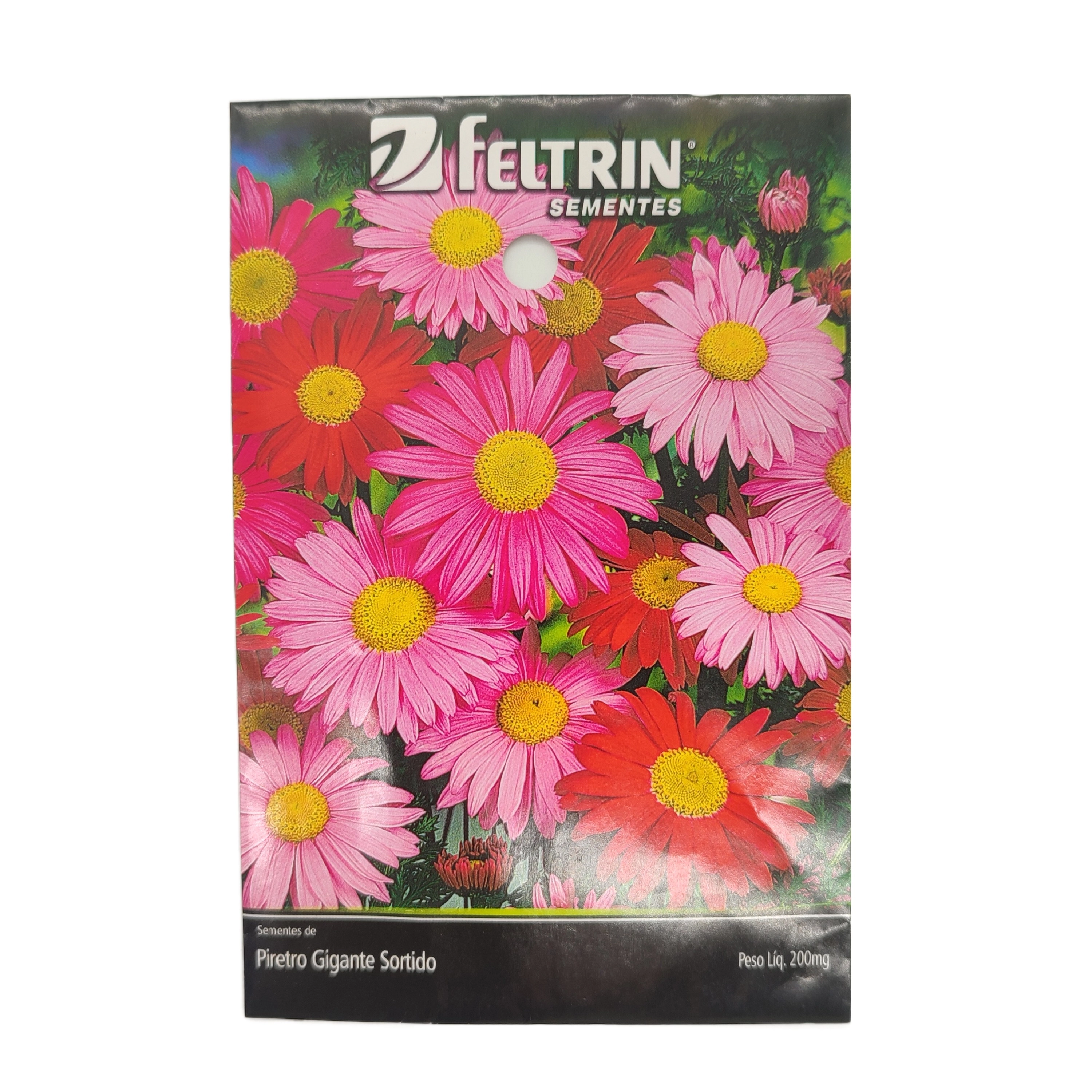Semente Piretro Gigante Sortido Flor
