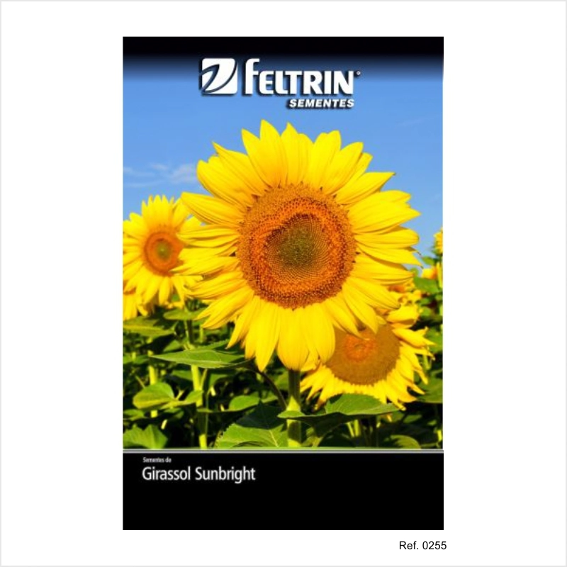Semente Girassol Sunbright Flor