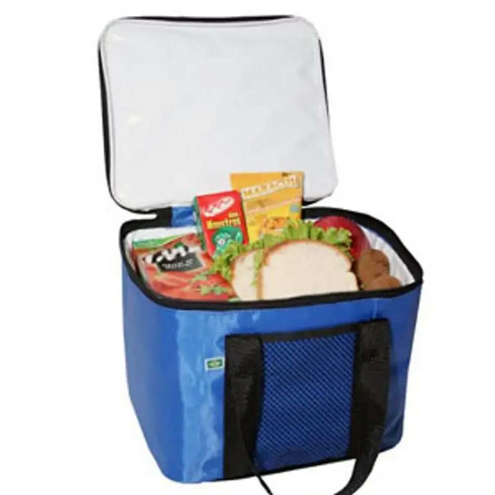 Bolsa Termica Utility Aquaterm 12lts