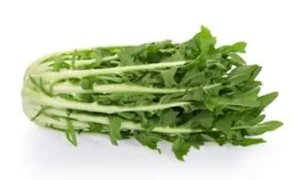 Chicoria Hidro Makiyama Unidade