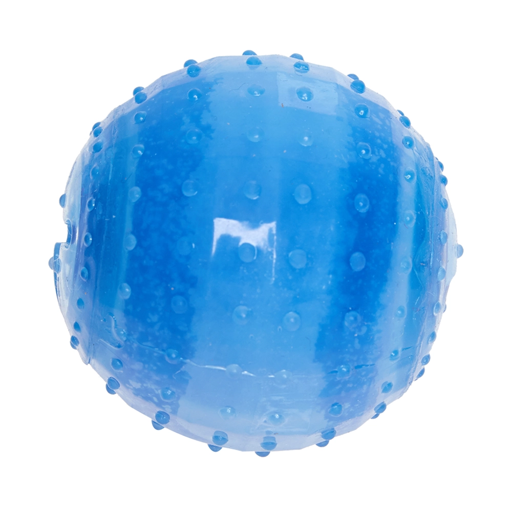 Brinq Bola Gelada Home Pet Fl