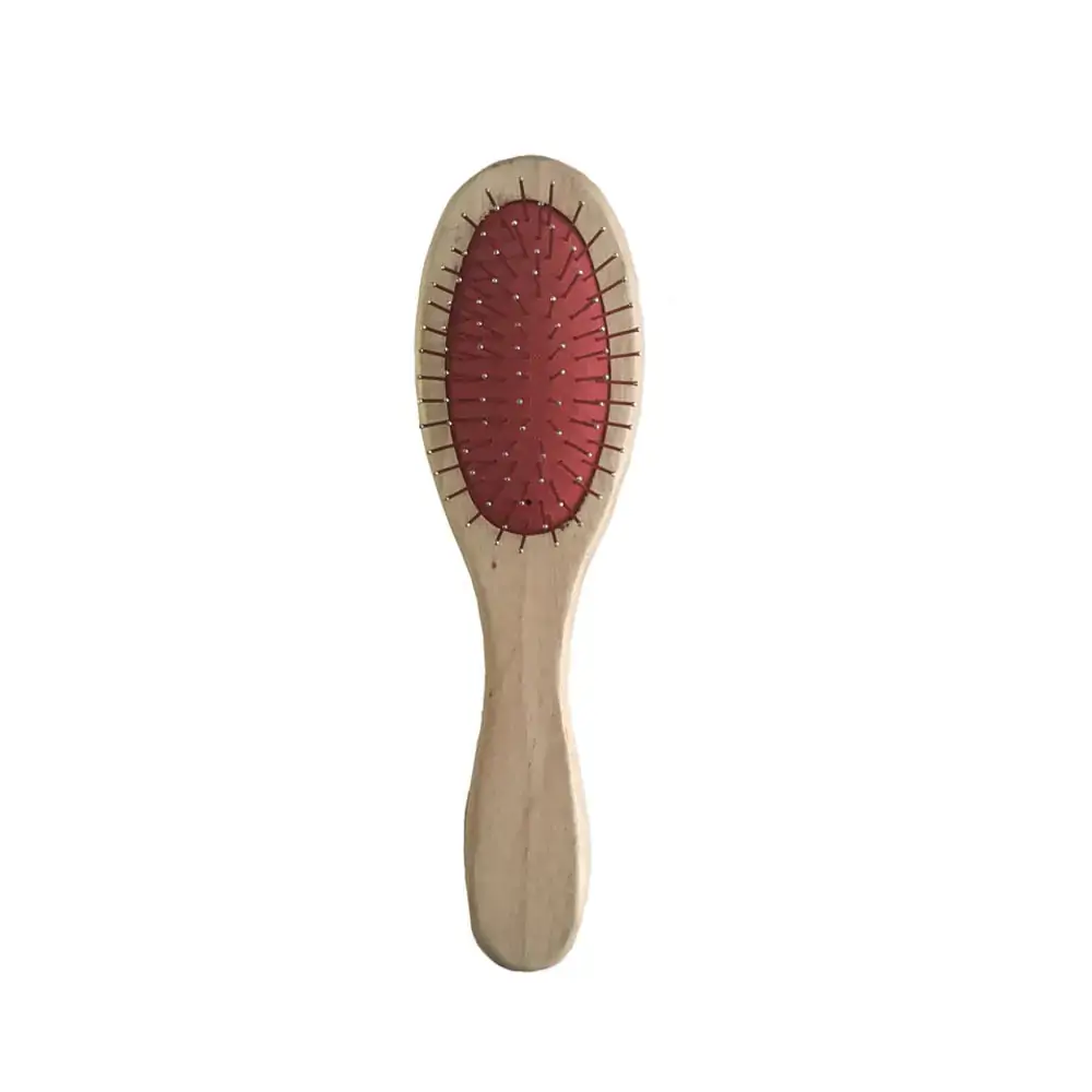 Escova Madeira Cerdas Esp Homepet G Ref. 398