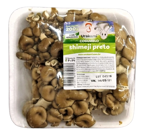 Cogumelo Urakami Shim Preto