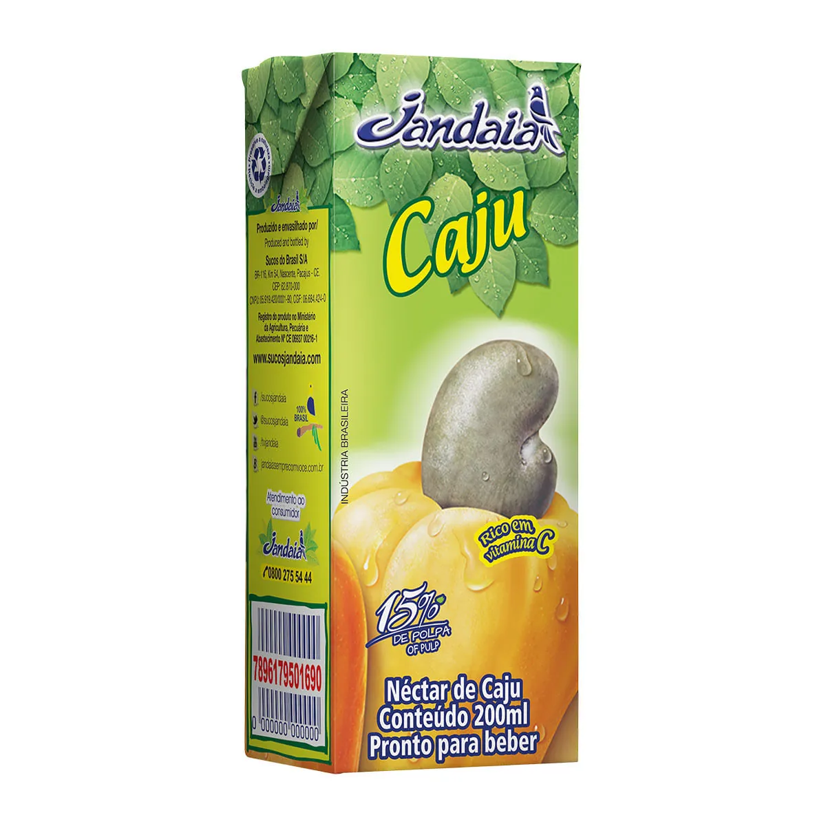 Néctar Caju Jandaia Caixa 200ml