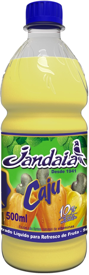 Concentrado Liq Jandaia Caju 1l