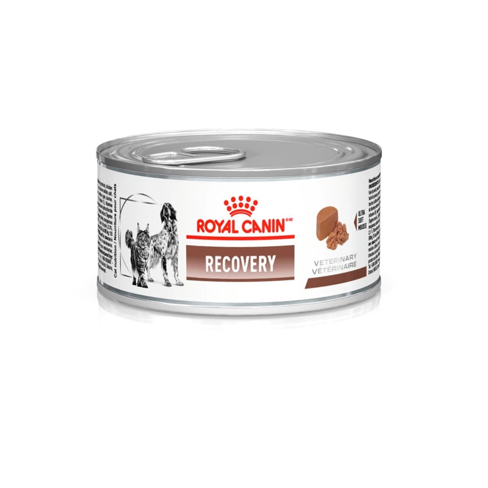 Lata Veterinary Diet Recovery Royal Canin