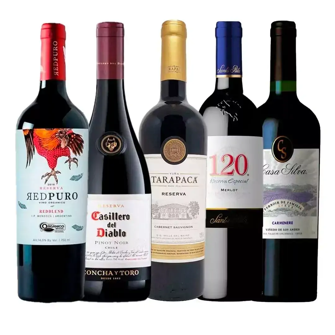 Kit Especial com 5 Vinhos Argentino Reserva