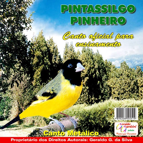 Cd Pintassilgo Pinheiro Canto Metálico
