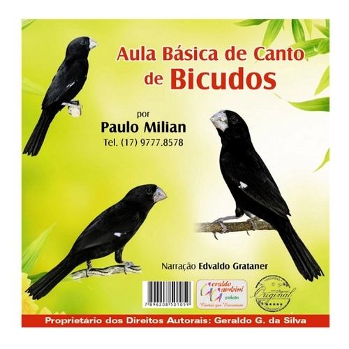 Cd Bicudo Aula Básica De Canto