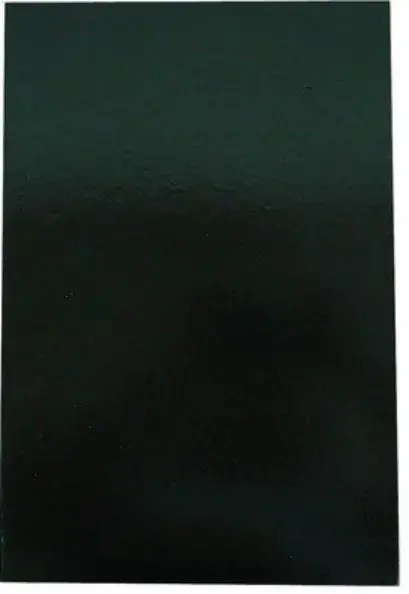 Livro De Ata Preto 100 Folhas 555g Foroni
