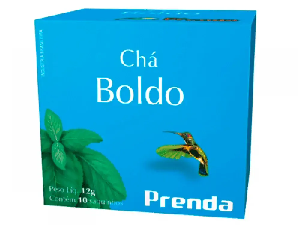 Mate Boldo Do Chile Matte Leão 10 Sachês G