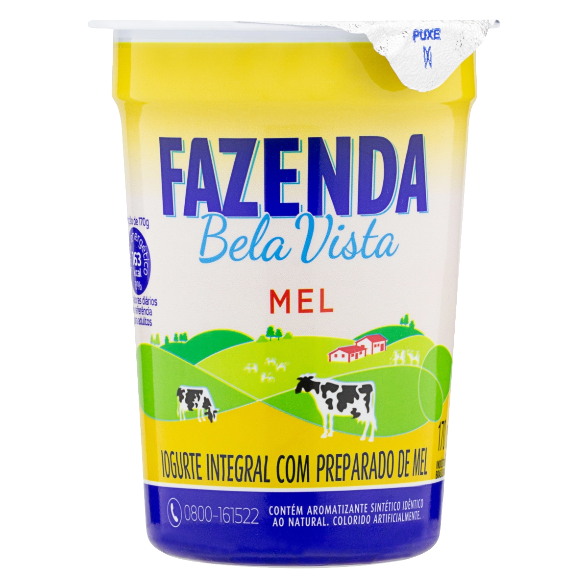 Iogurte Integral com Mel Tipo A FAZENDA BELA VISTA 170g