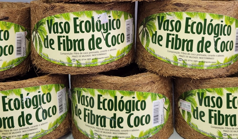 Vaso De Coco N 3