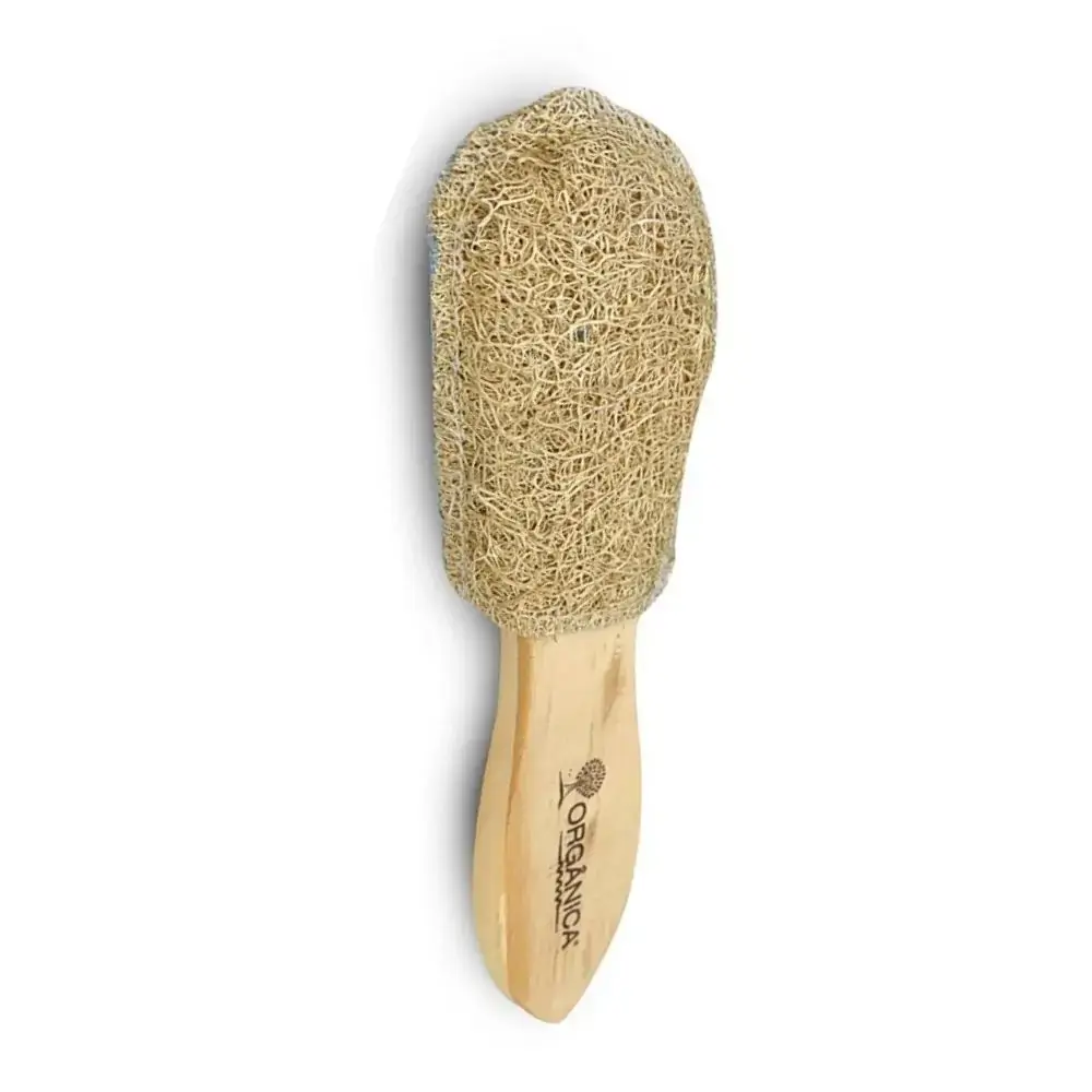 Organica Esponja Banho R.obvlfe Facial C/ Bucha Vegetal Esfoliante