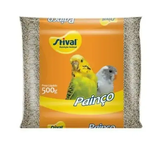 Painco Stival