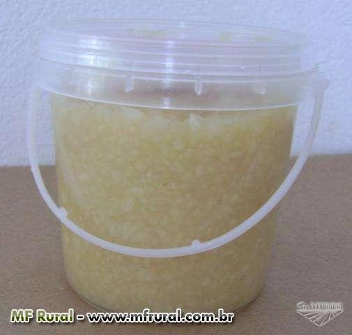 Alho Agro Triturado Balde 3kg
