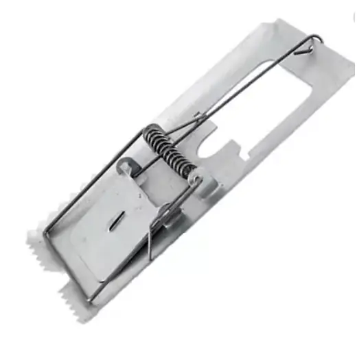 Ratoeira P 558 Assessorlar