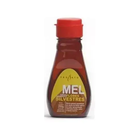 MEL FLORADA SILVESTRE BISNAGA COM 250G