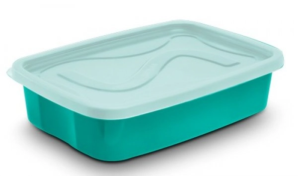 Pote Santana 2l Graduado Quad Color