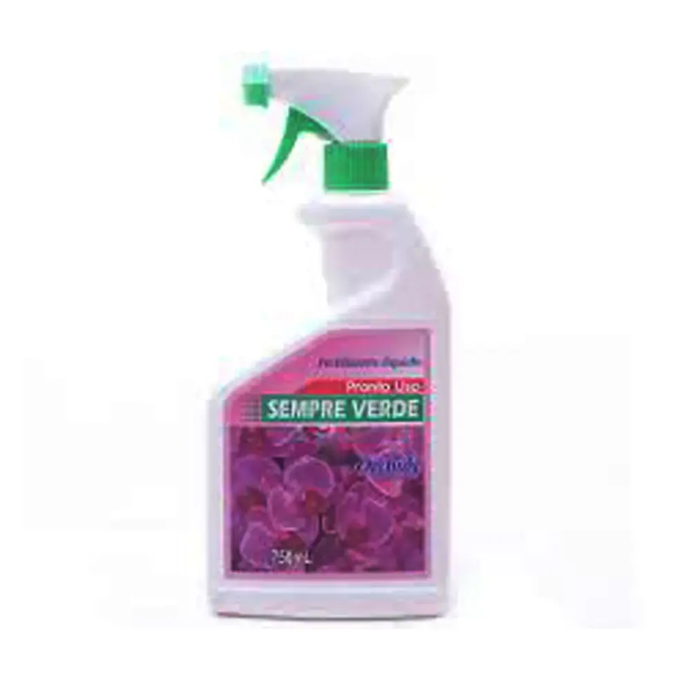 Prato Ultraverde Plastico N.03