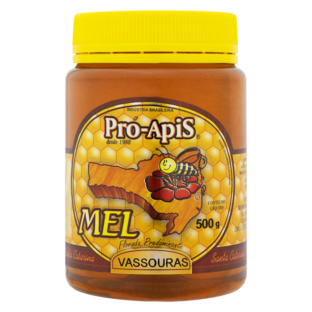 Mel Florada Vassoura Pró Apis Pote 500g