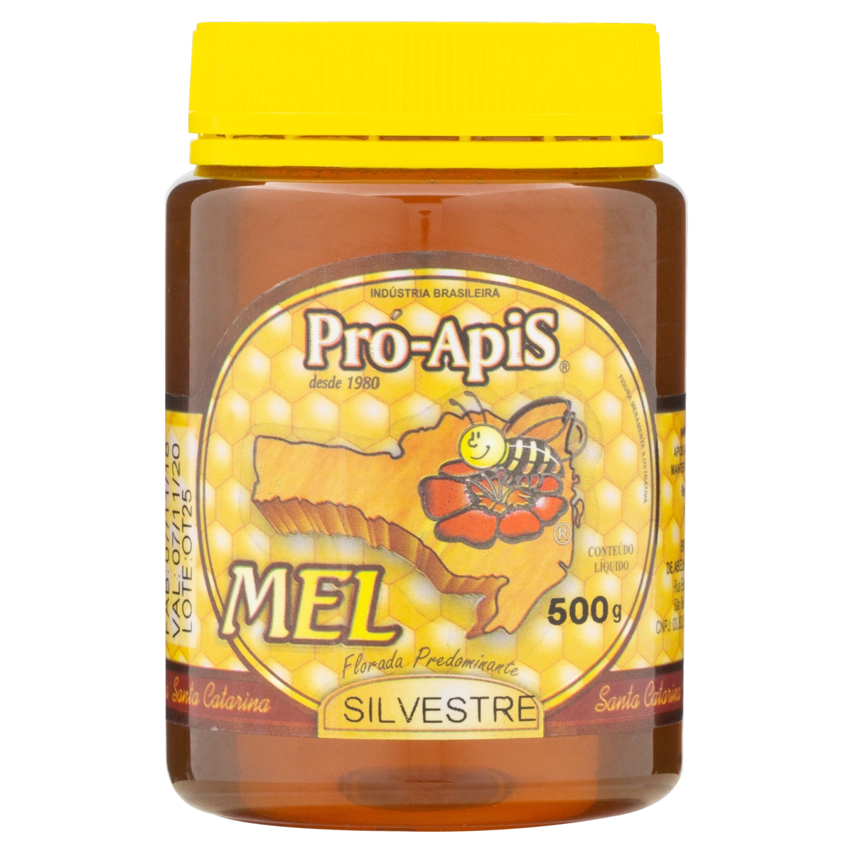 Mel Florada Silvestre Pró Apis Pote 500g