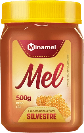 Mel Florada Silvestre Minamel Pote 500g