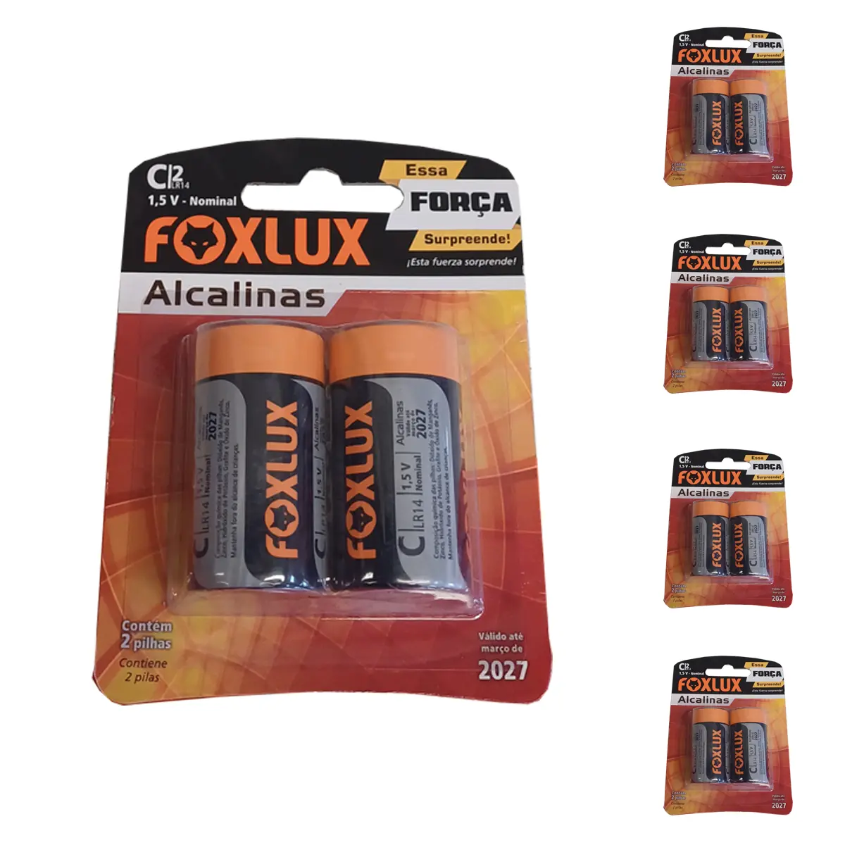 Kit 10 Pilha Alcalina Foxlux C
