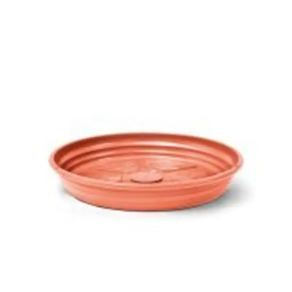 Prato 7ceramica Nutriplan