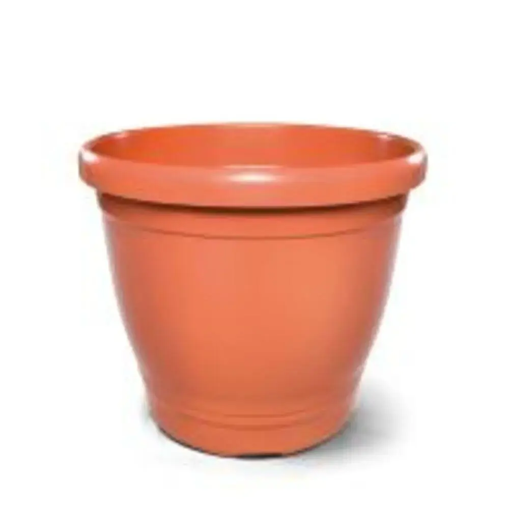 Vaso Primavera N 06 Nutriplan