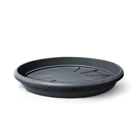 Prato Plast Nutr N11 Preto