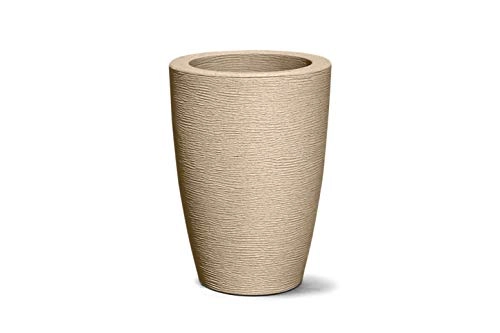 Vaso Graf Con Areia Nutriplan